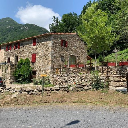 Mas Graffouil Prats-de-Mollo-la-Preste Exterior foto