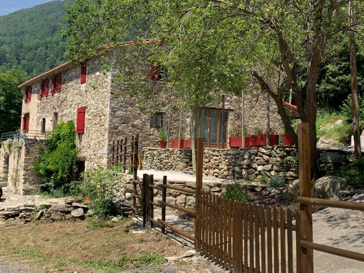 Mas Graffouil Prats-de-Mollo-la-Preste Exterior foto