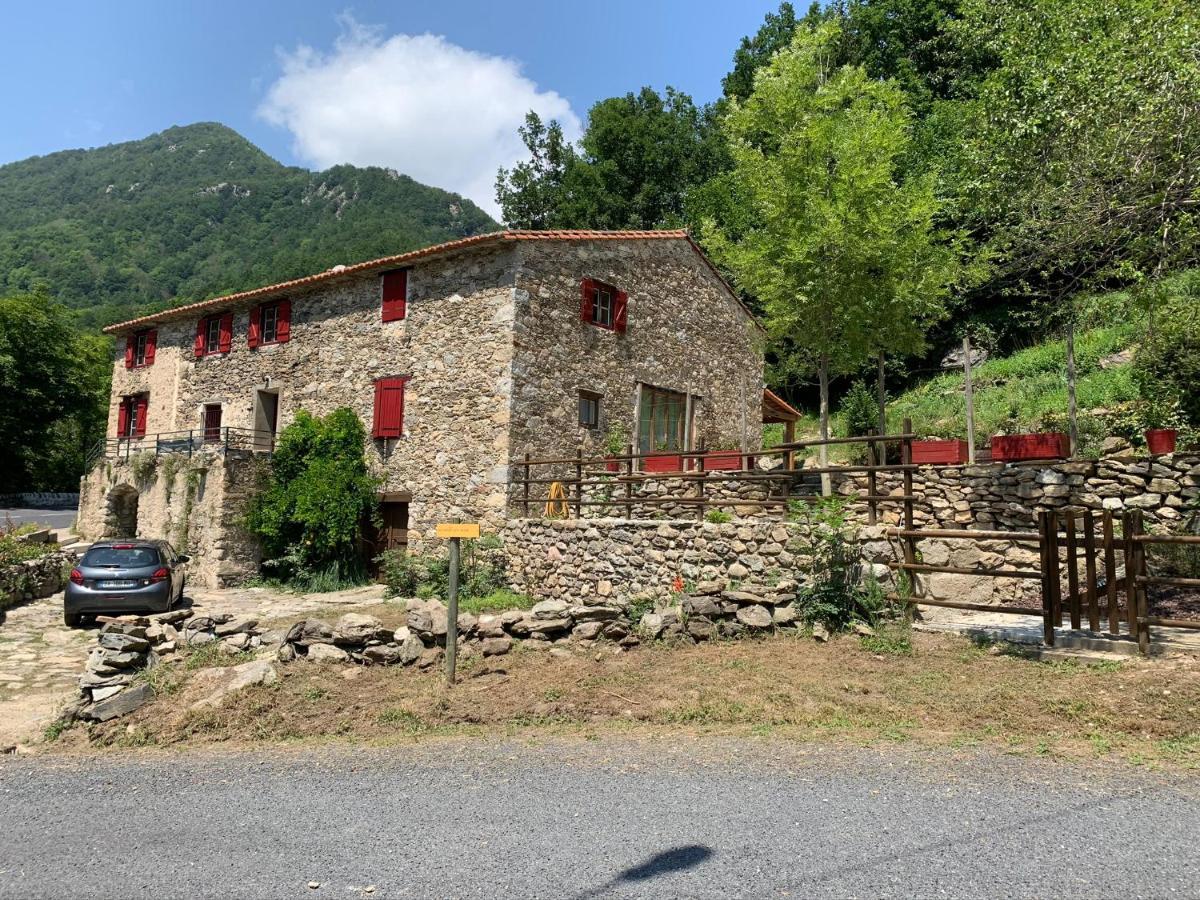 Mas Graffouil Prats-de-Mollo-la-Preste Exterior foto