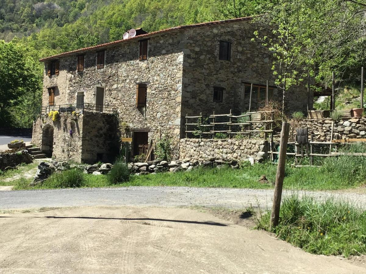 Mas Graffouil Prats-de-Mollo-la-Preste Exterior foto