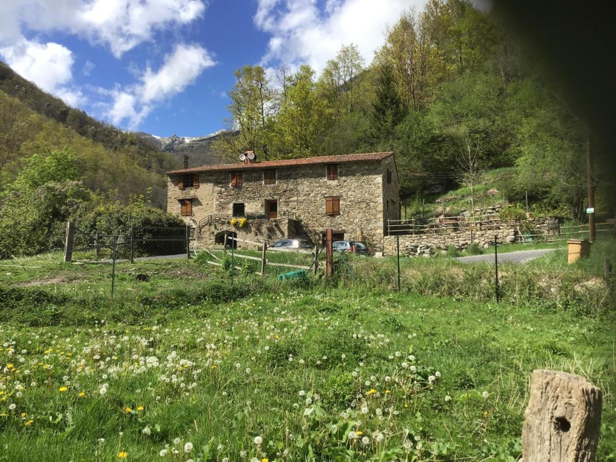 Mas Graffouil Prats-de-Mollo-la-Preste Exterior foto