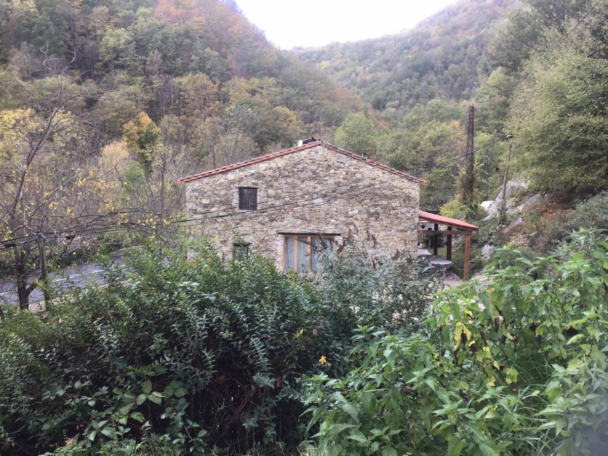 Mas Graffouil Prats-de-Mollo-la-Preste Exterior foto